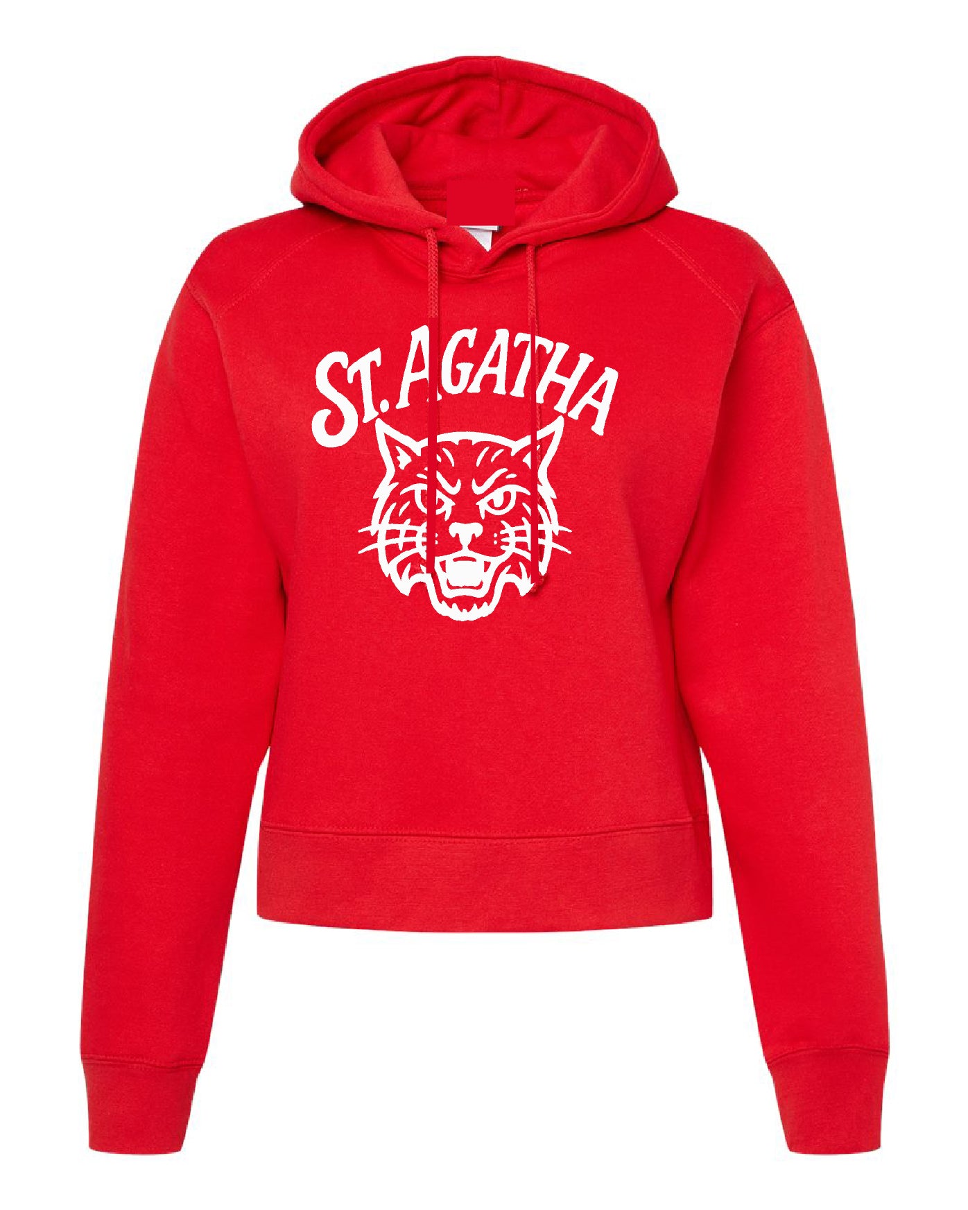 St. Agatha Mascot Boxy Hoodie