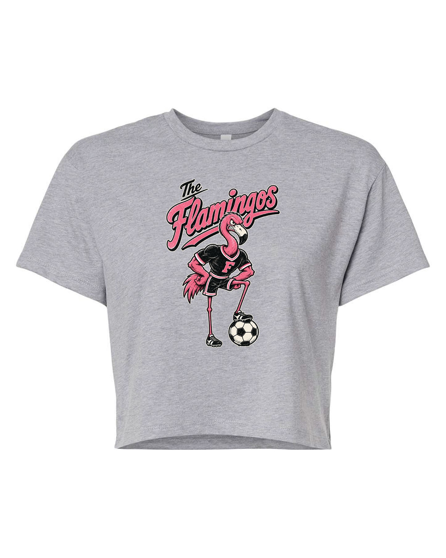 The Flamingos Crop Tee