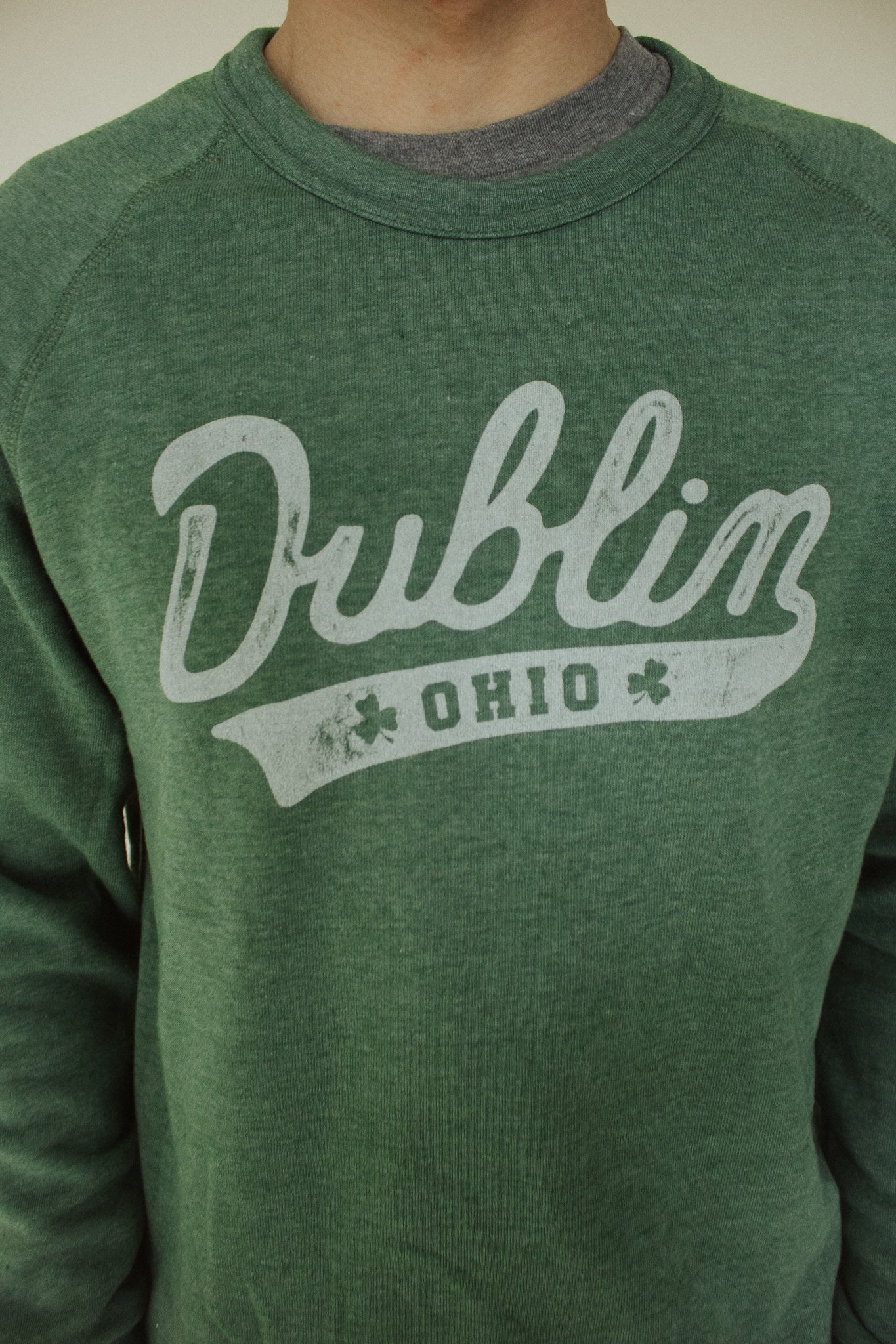 Dublin Script Ohio Sweatshirt | ADULT