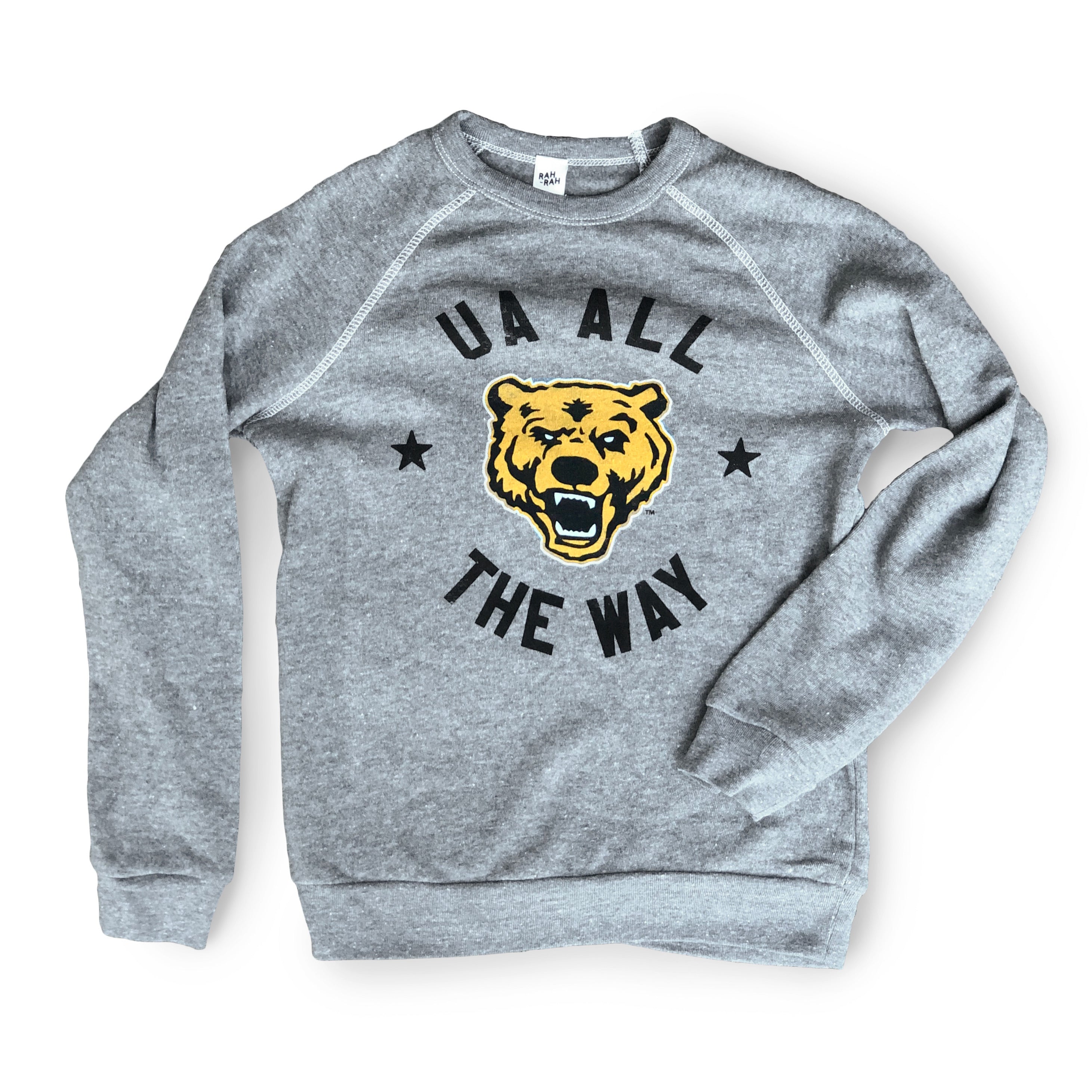 Bears Sweatshirt Bears Shirt Bear Pride Bear Mascot 